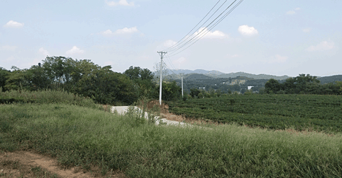 大悟县芳畈镇高标准基本农田土地整理项目