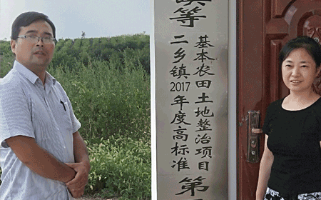 8月大悟县芳畈镇高标准基本农田土地整理项目分