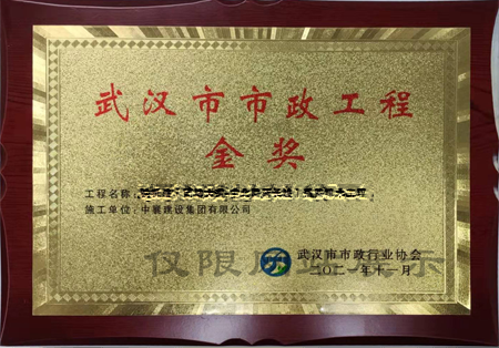 武汉市市政行业优秀经营者